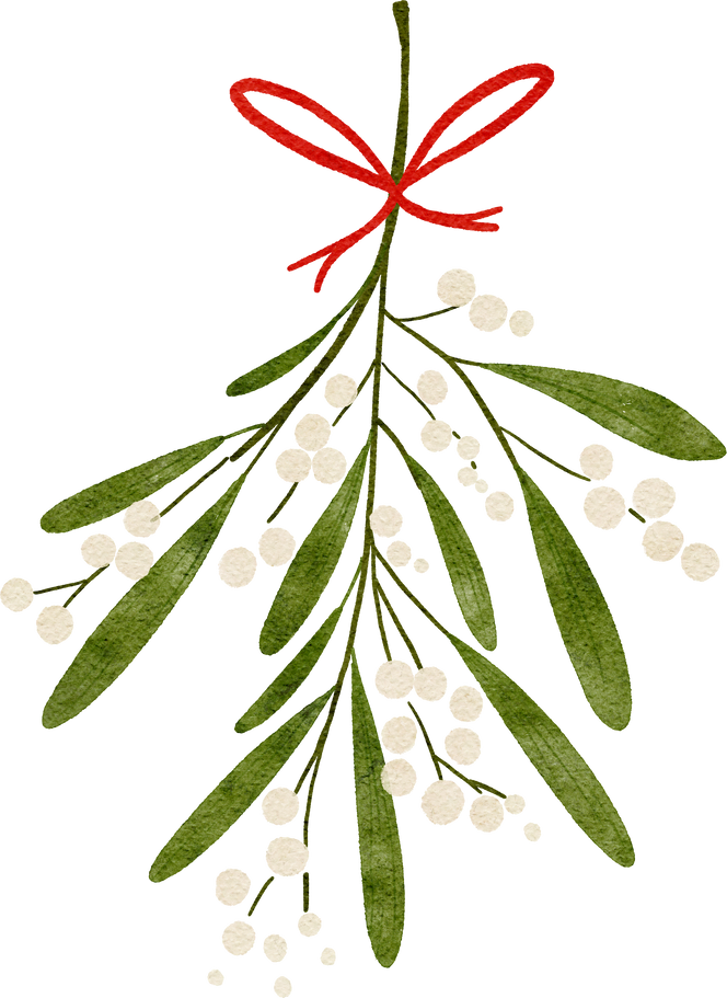 christmas mistletoe